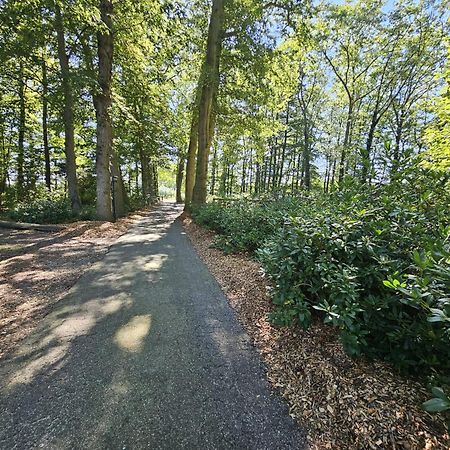 Landgoed De Lavei Bed & Breakfast Weleveld Exterior photo