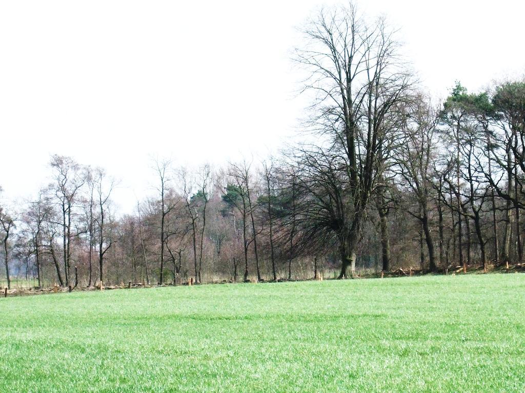 Landgoed De Lavei Bed & Breakfast Weleveld Exterior photo